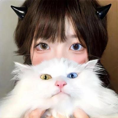 哈迪兄弟 第二季